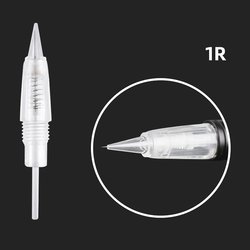 1R