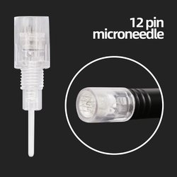 12 Pin Microneedle