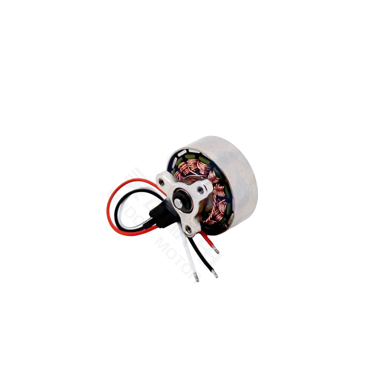 New Technique 5.5V 2.5W Brushless Motor 16916RPM CW/CCW DC Motor with Permanent Magnet Fan Boat Home Appliance Smart Home Use