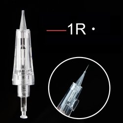 1R