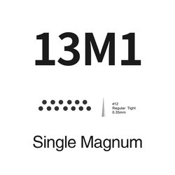 13M1