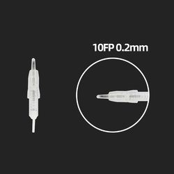 10FP