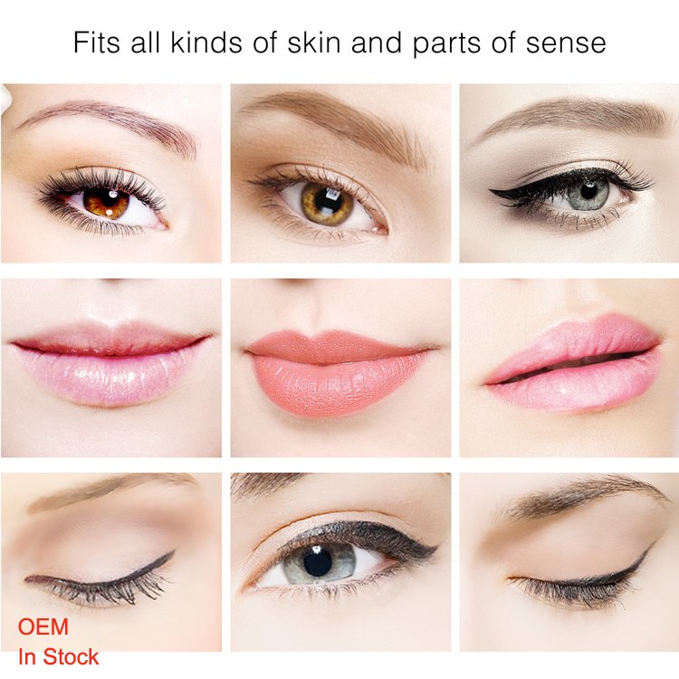 Nuojo OEM Tattoo Gun Rechargeable Eyebrow Permanent Makeup Pen Customizable Factory Made with Cheap Price