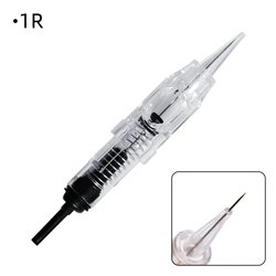 1R