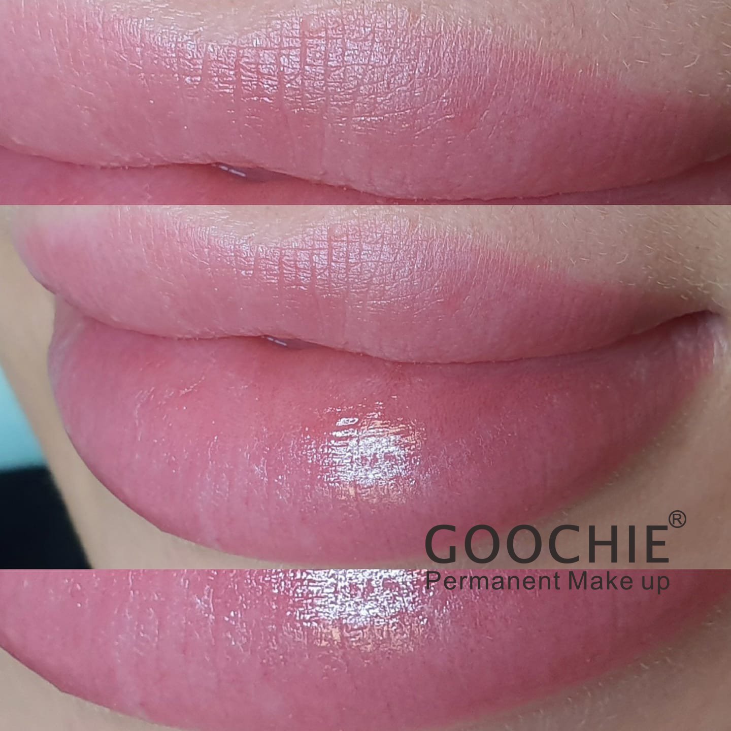 Goochie M8 PMU Needle Cartridge Micropigmentation Tattoo Needle