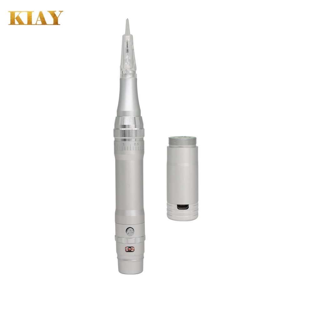 OEM Professional Rechargeable Permanent Makeup Eyebrow Lip Eyeliner Cartridge Needle Tattoo Machine Tattoo Gun Electric
