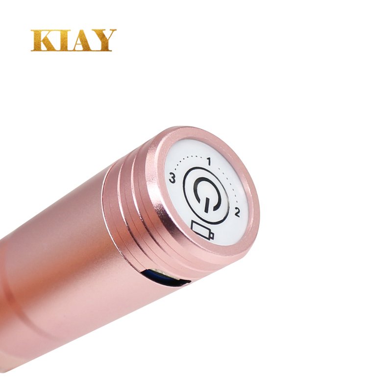 OEM Professional Rechargeable Permanent Makeup Eyebrow Lip Eyeliner Cartridge Needle Tattoo Machine Tattoo Gun Electric