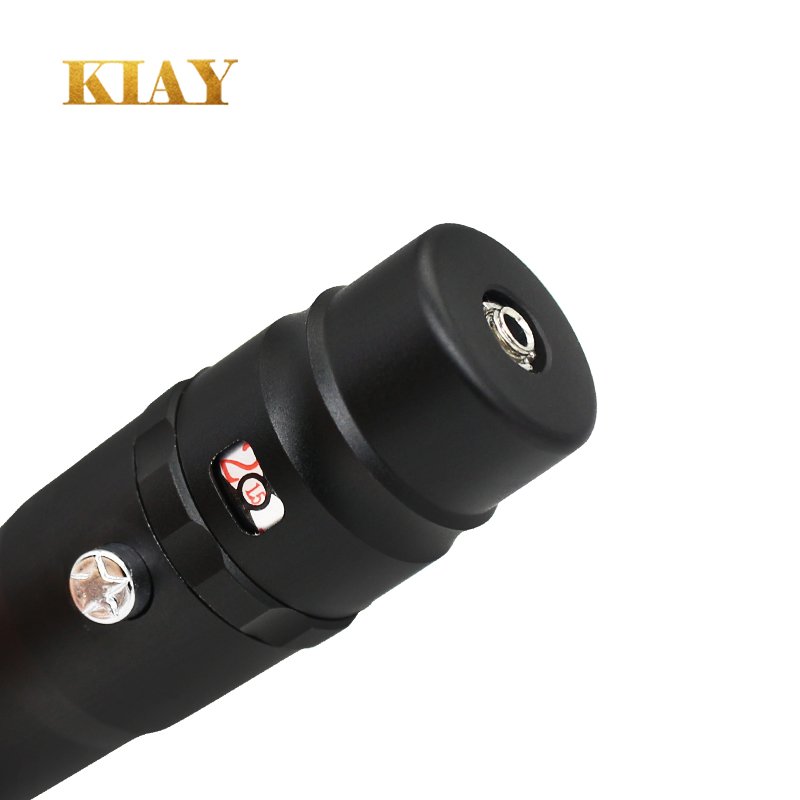 OEM Professional Rechargeable Permanent Makeup Eyebrow Lip Eyeliner Cartridge Needle Tattoo Machine Tattoo Gun Electric