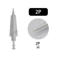 2P