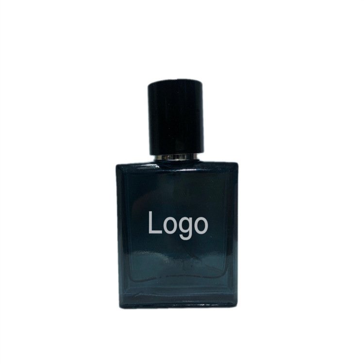 Hot sale Top Quality Men Cologne Brand Perfume for Men 100ml Long Lasting Fragrance Body Spray Perfume Original