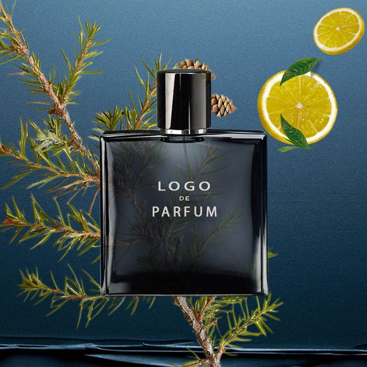 Wholesale Private Label Perfumes Club De Nuit Black Best French Strong Brand Fragrance Original Intense Man Men Men's Perfume