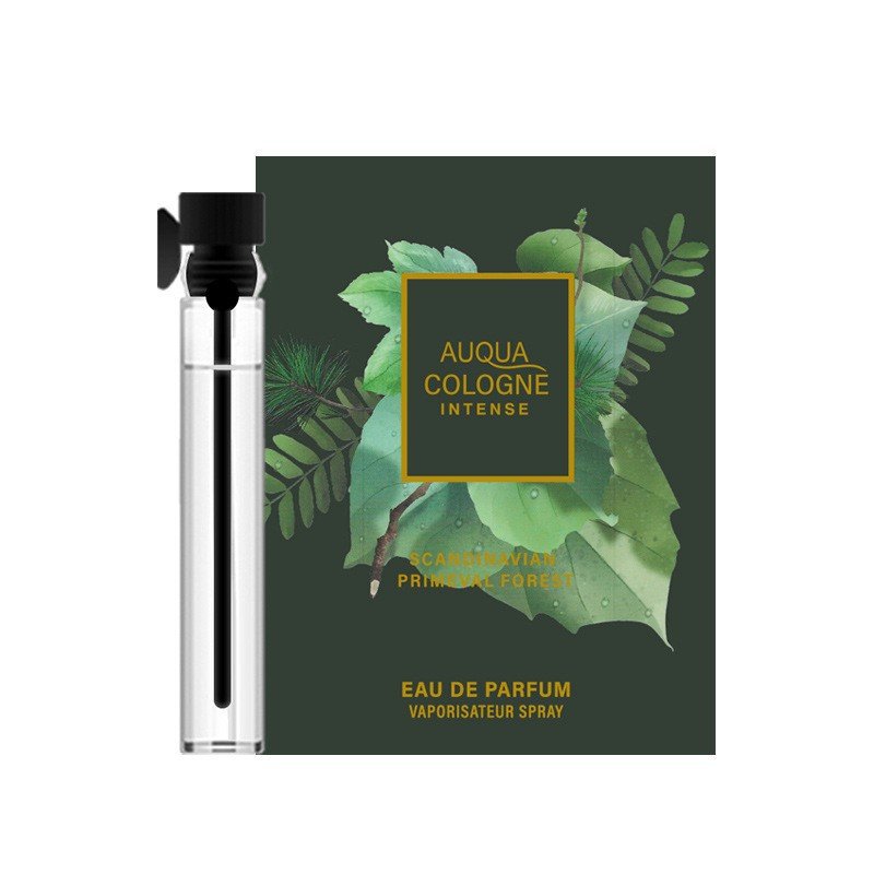 Original brand perfume Fresh long lasting perfume wholesale high end perfume supplier cologne