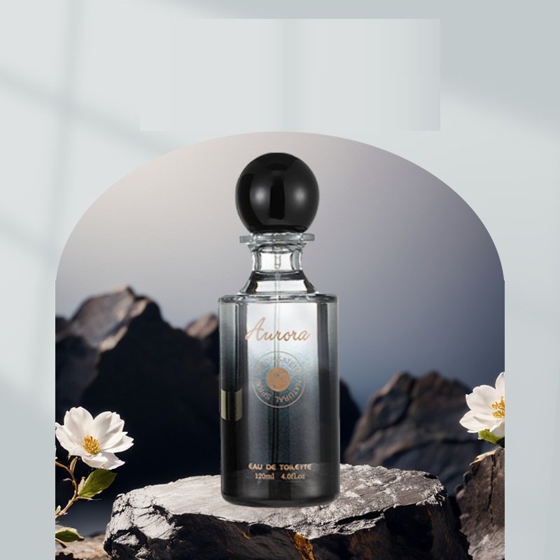 Wholesale New Design OEM Custom 120ML Luxury Men's Cologne Perfume Long Lasting Fresh Fragrance Exquisite Perfume