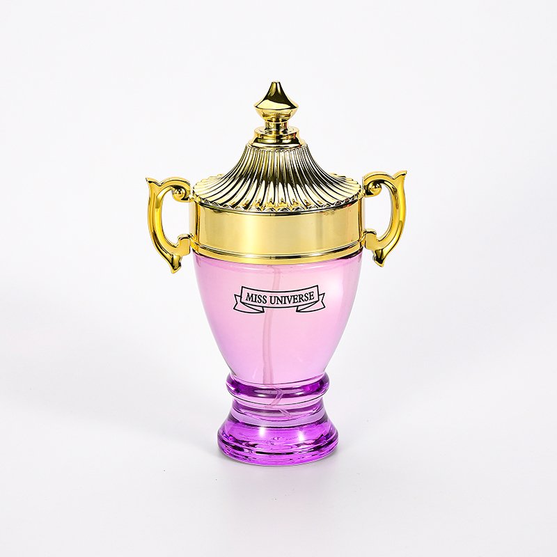 Perfume Supplier Top Quality Brand Perfume for Men for Women 100ml Long Lasting Fragrance Body Spray Perfume Original