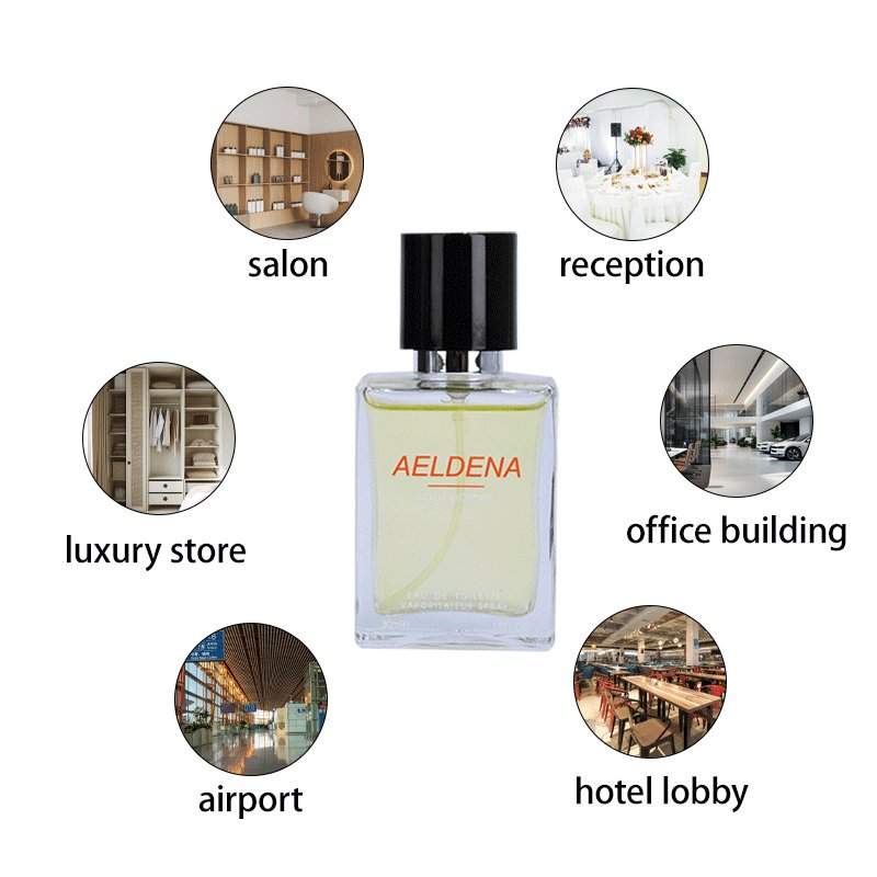 Long Lasting Fragrance Perfume Woody For Men OEM ODM Eau De Parfum Men's Perfume Man Cologne Spray
