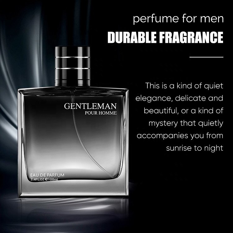 100ml Custom Men'S Perfume Fragrance Spray Perfume Gift Sets Long Lasting Best Men's Cologne Perfume for Men