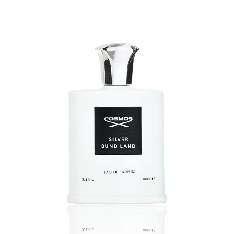 100ML Men's perfume cosmic Silver Beach Aromatic Fragrance Custom Cologne For Men Perfume