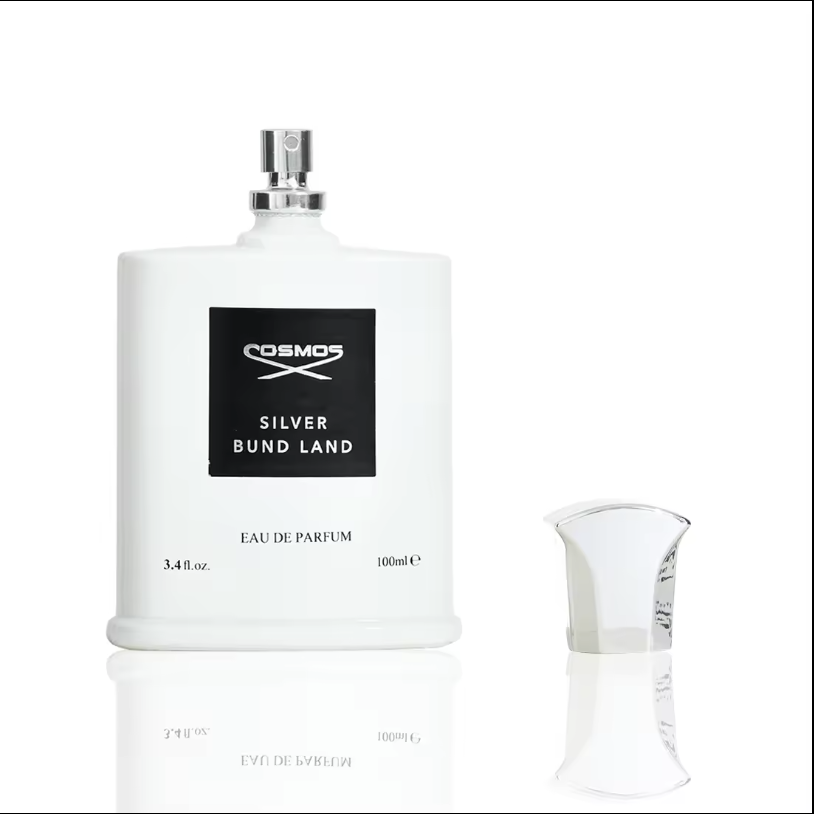 100ML Men's perfume cosmic Silver Beach Aromatic Fragrance Custom Cologne For Men Perfume