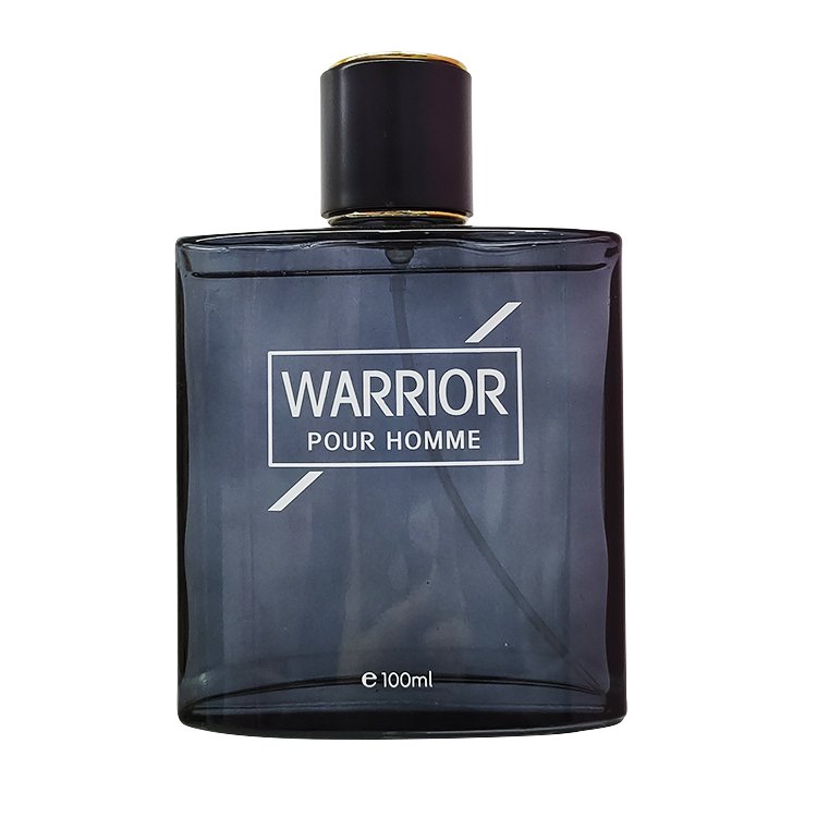 OEM ODM perfume private label your own logo long lasting Factory price 100ML EAU DE PARFUM men's perfume Spray
