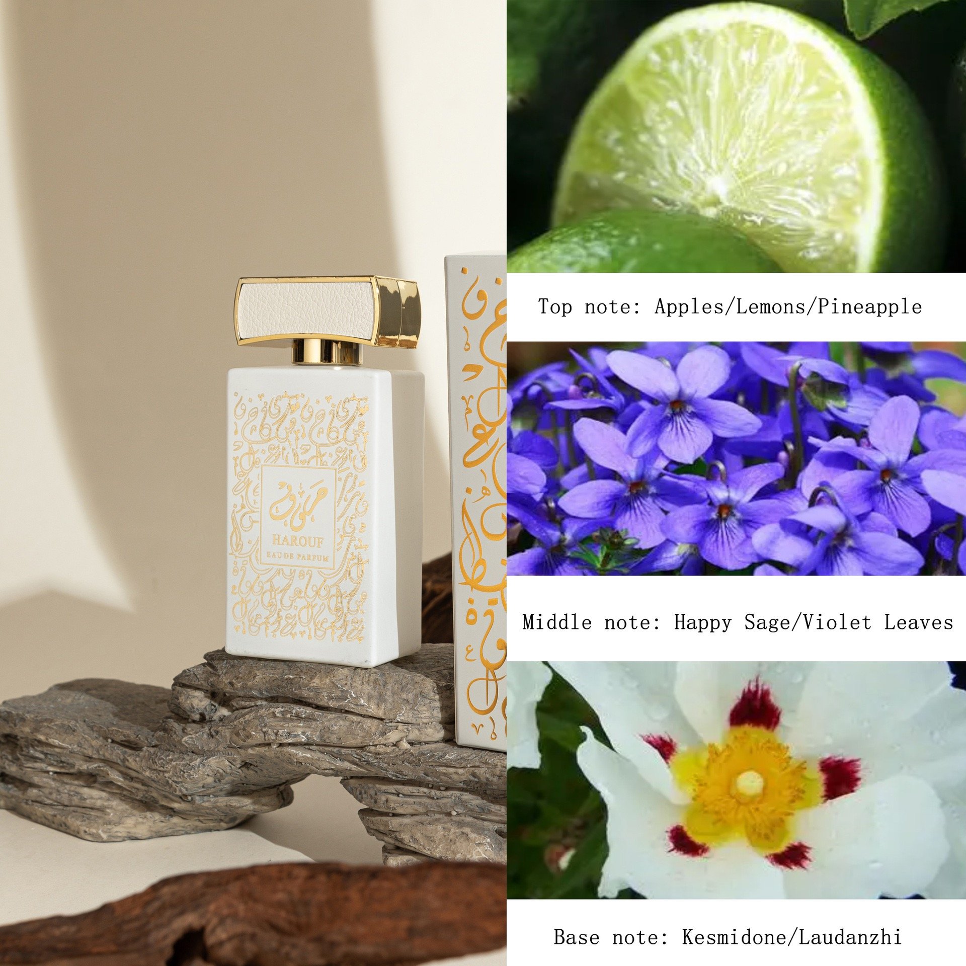 Factory Direct Lasting Fragrance Dubai Perfume Gift Set Sweet and Classic Fruit Aromas Oil Form Wholesale