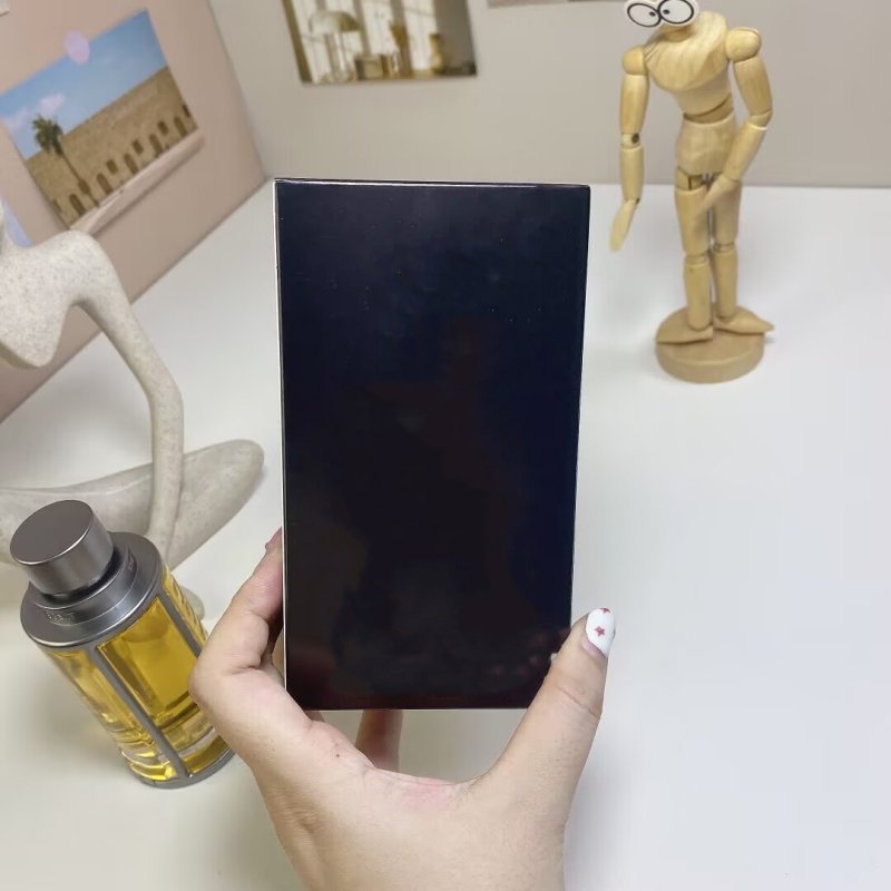 Hot brand 1:1 perfume wholesale 100 ml men's perfume cologne natural long-acting perfume
