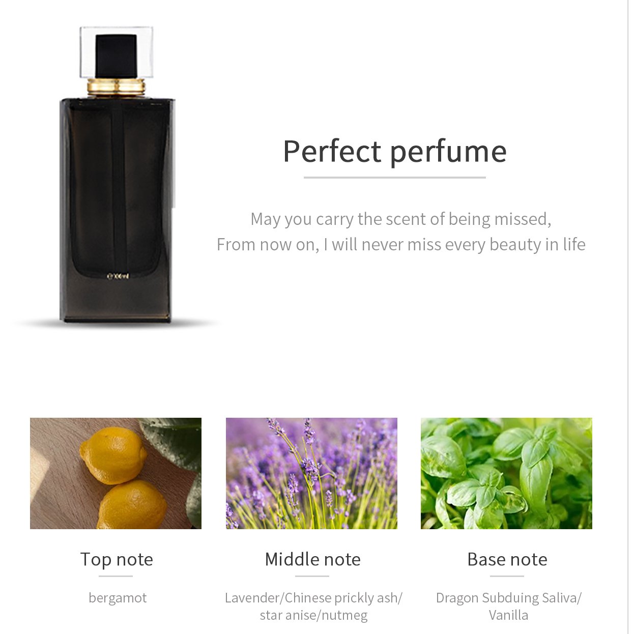 Men's Perfume Wholesale High Quality Original Perfume for Men 100ml Eau De Perfume