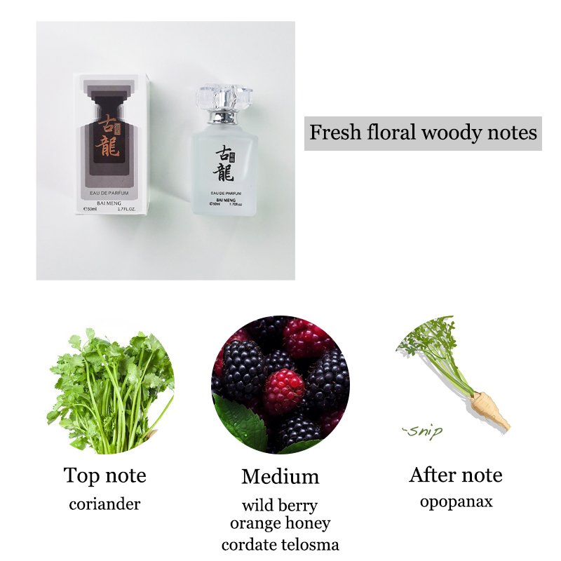 Wholesale 50ml Men's Elegant Oriental Flower Melody Cologne Classic Fresh Floral Charm Luxury Perfume with Exquisite Smell