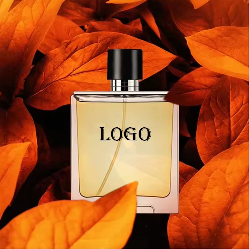Perfume original brand men's perfume men's gift supplier bottles 55ML wholesale