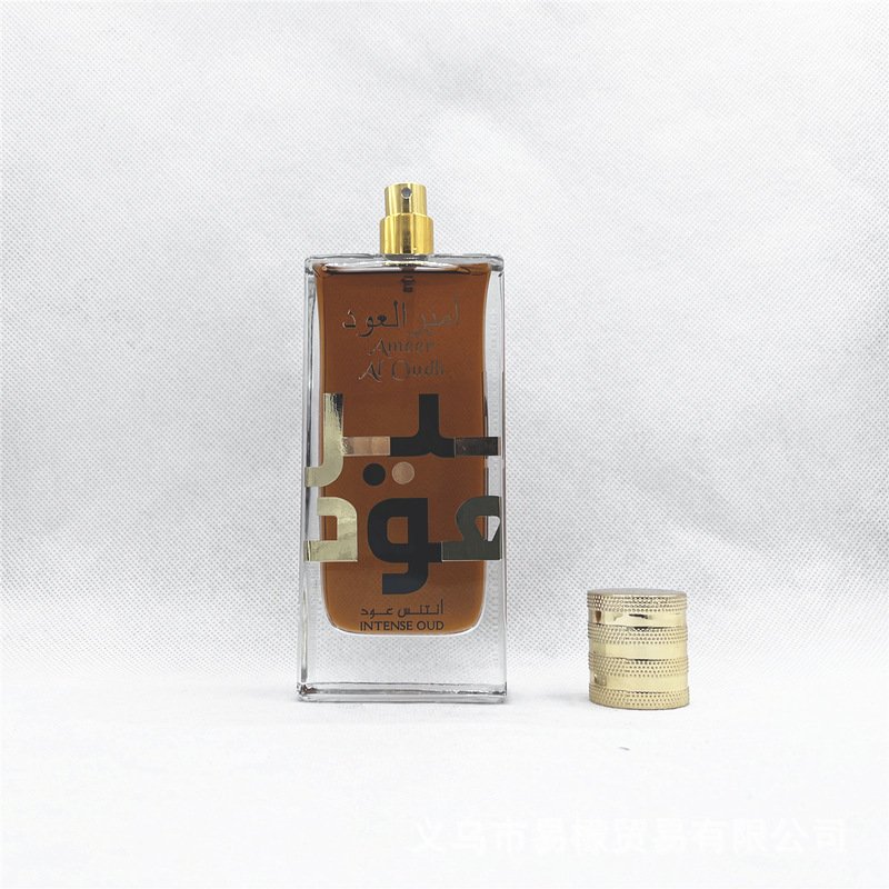 Unisex Perfumes Amirwood 100ML brand perfume Long lasting fragrance Wholesale cologne for men perfume