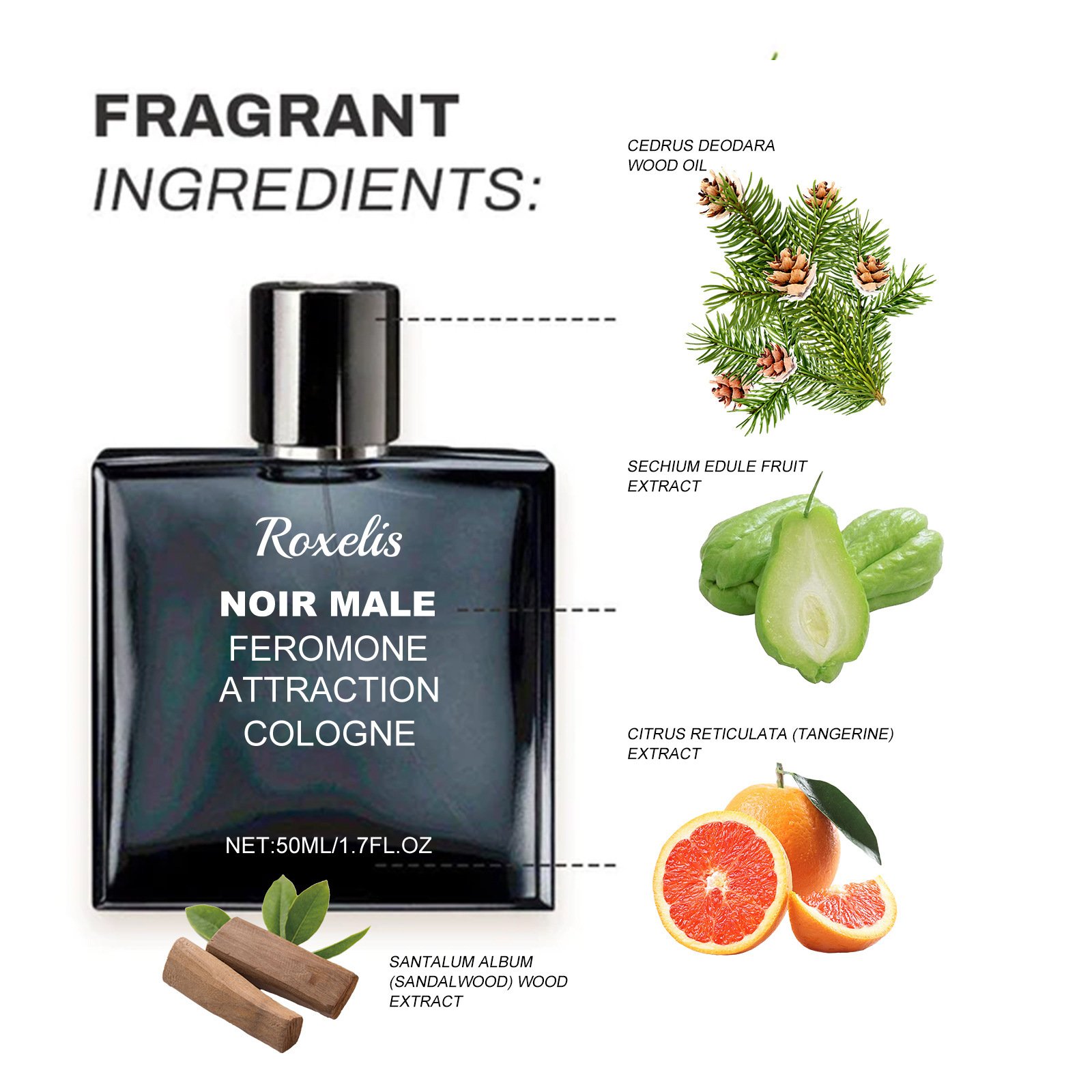 Wholesales Men's Perfume Oil Mild and Refreshing Fragrance Cologne Spray Long-Lasting Non-Pungent Scent
