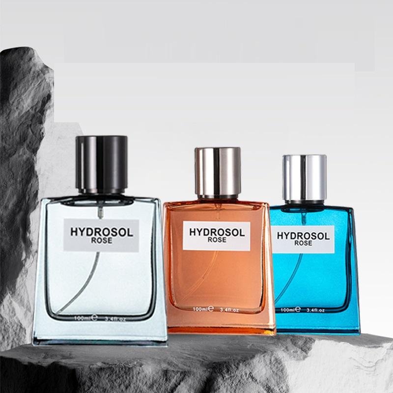 Hot Sell High-quality 100ML Original Perfume Classic fresh long-lasting elegant cologne wood Fragrance Men Perfume