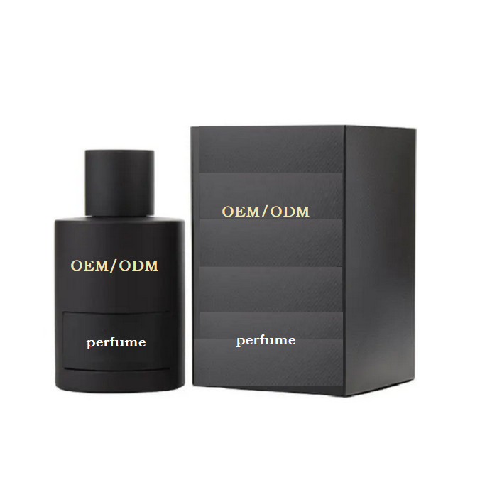 High Quality Perfume Brand Natural Long Lasting Body Fragrance High Quality Wholesale Fashion 100ml Men's Perfume for Men