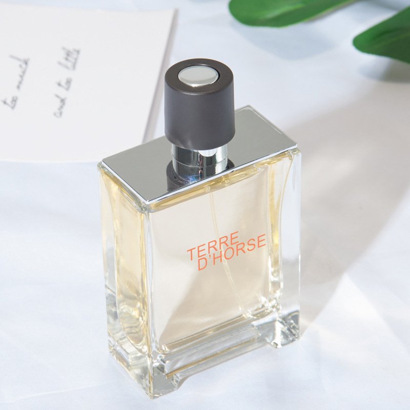 Wholesale custom men's perfume lasting fragrance Wood fragrance 100ml spray perfume
