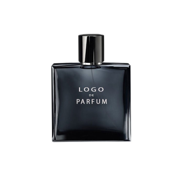 Wholesale Custom Private Label Perfumes Spray 50ml Mini Travel Original Brand Designer Fragrance Woody Cologne Men's Perfume