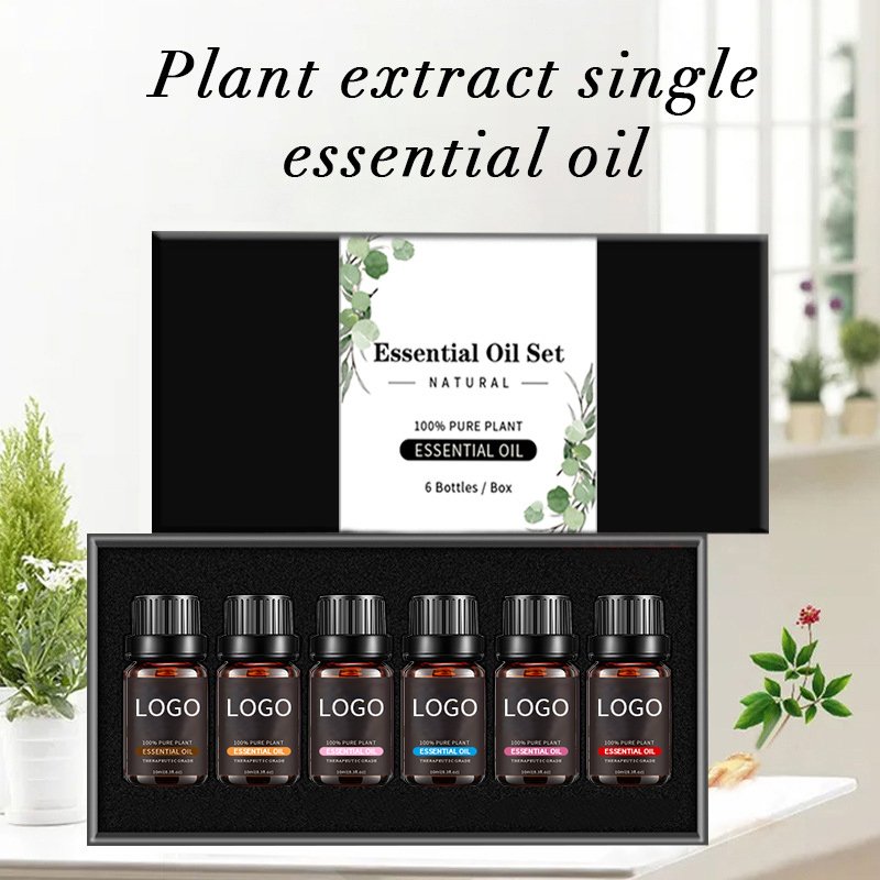 Oem Skin Care 10Ml & 30Ml Eau De Parfum Mini Fragrance Travel Set Fresh Woody Rose Essential Oils