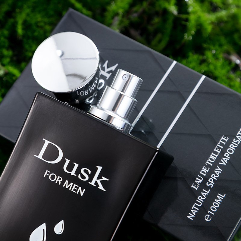 Wholesale Woody Aromatic Perfume100ml Men's Perfume Body Fragrance Parfum Original Light Other Perfume