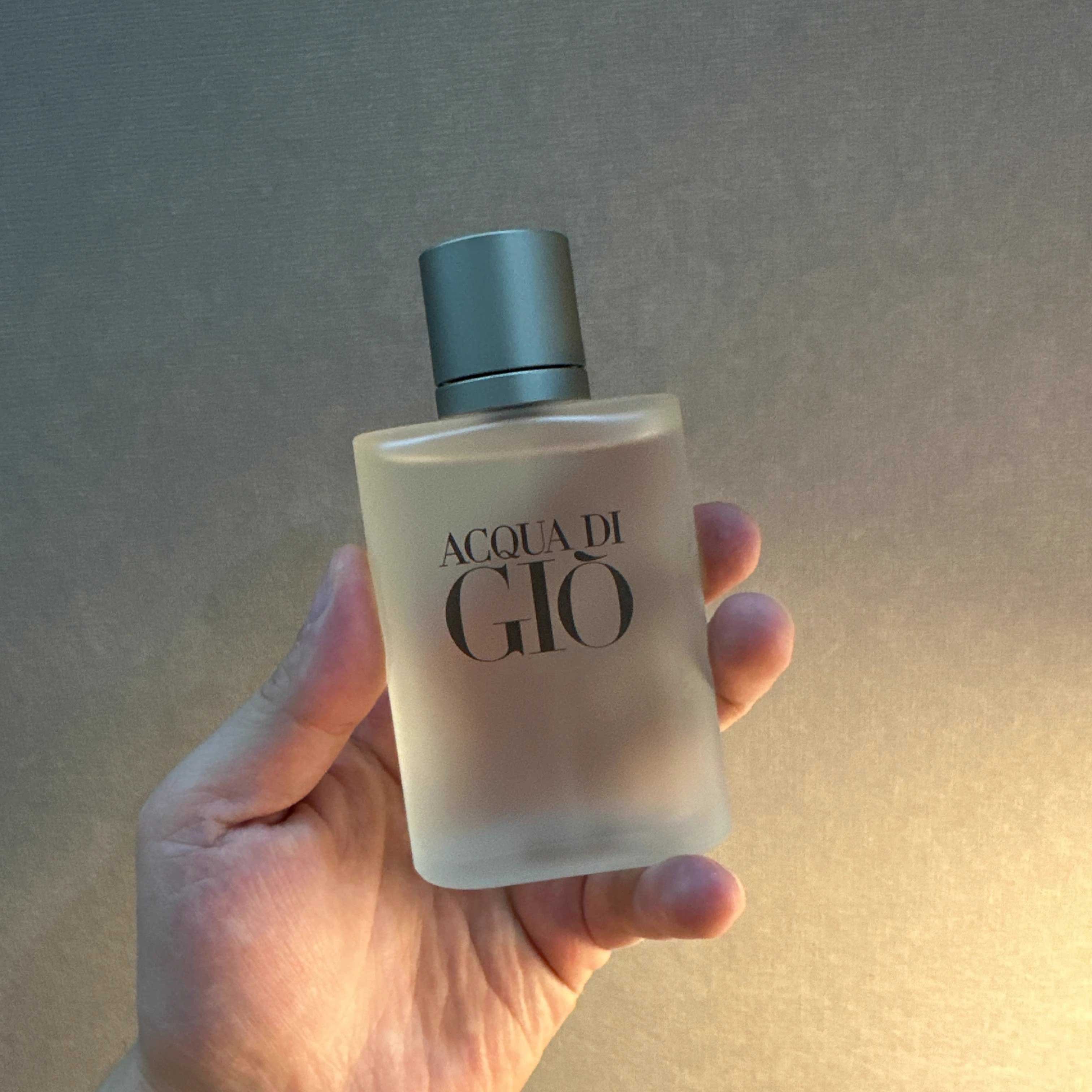 Custom OEM 100ml Original Luxury Cologne Long Lasting Eau De Parfum Acqua di Gio Men's Perfume Spray