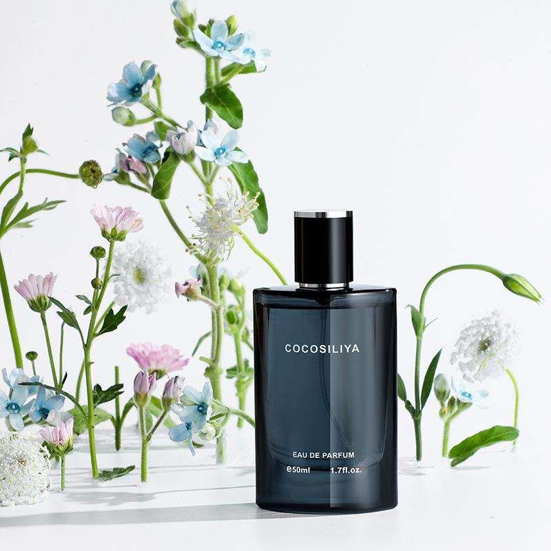 Body Spray Long Lasting Parfum Unisex Blue Cheaper Price Original Perfume Brand Men's Cologne
