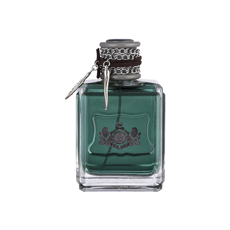 Custom Luxury Men's Perfume 100ml OEM ODM Woody Fragrance Lasting Long Time Perfume For Men Eau De Parfum