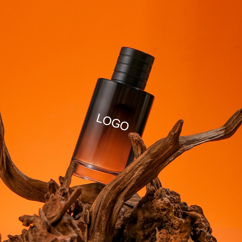 Wholesale Woody Aromatic Perfume 50ml 100ml Men's Perfume Body Fragrance Parfum Original Perfume