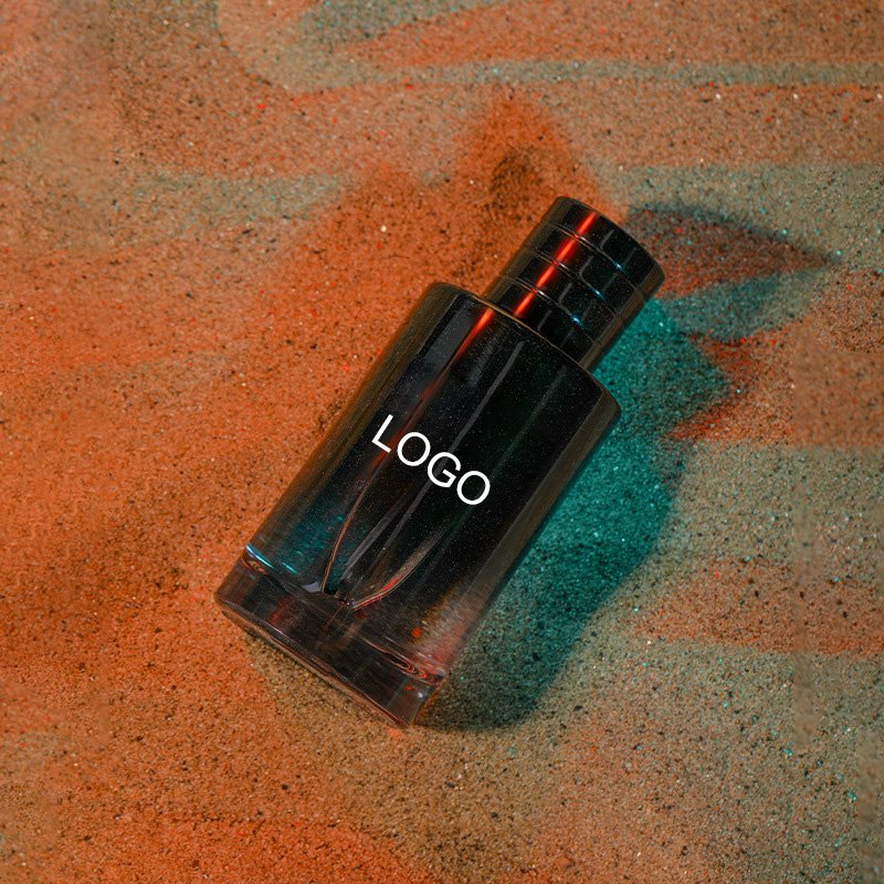 Wholesale Woody Aromatic Perfume 50ml 100ml Men's Perfume Body Fragrance Parfum Original Perfume