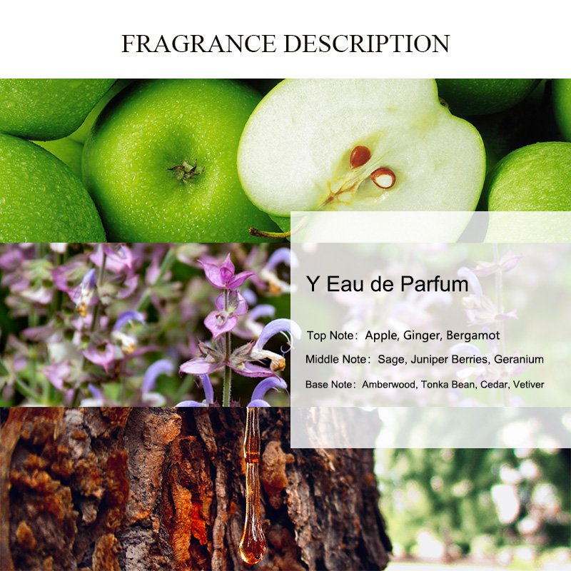 UNIQUE AROMA Y Eau de Parfum Perfume Oil Men's Popular Concentrated Type Branded Designer Perfume Fragrance Oil for Bulk Sale