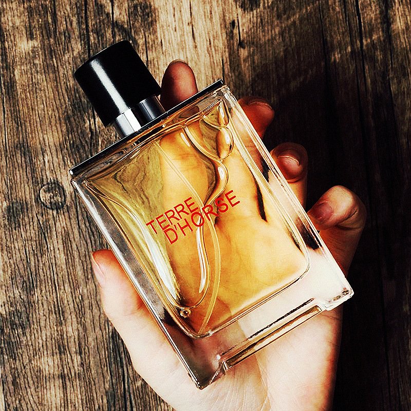 Original brand perfume Top hot selling long lasting perfume terre Dhermes perfume