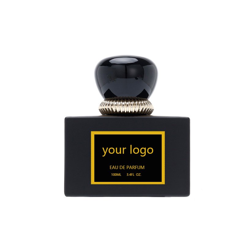 Luxury Men's 100ml Arabic Fragrance Oil Perfume Branded Dubai Oils Wholesale Luxury Men's Perfume