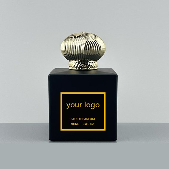 Luxury Men's 100ml Arabic Fragrance Oil Perfume Branded Dubai Oils Wholesale Luxury Men's Perfume