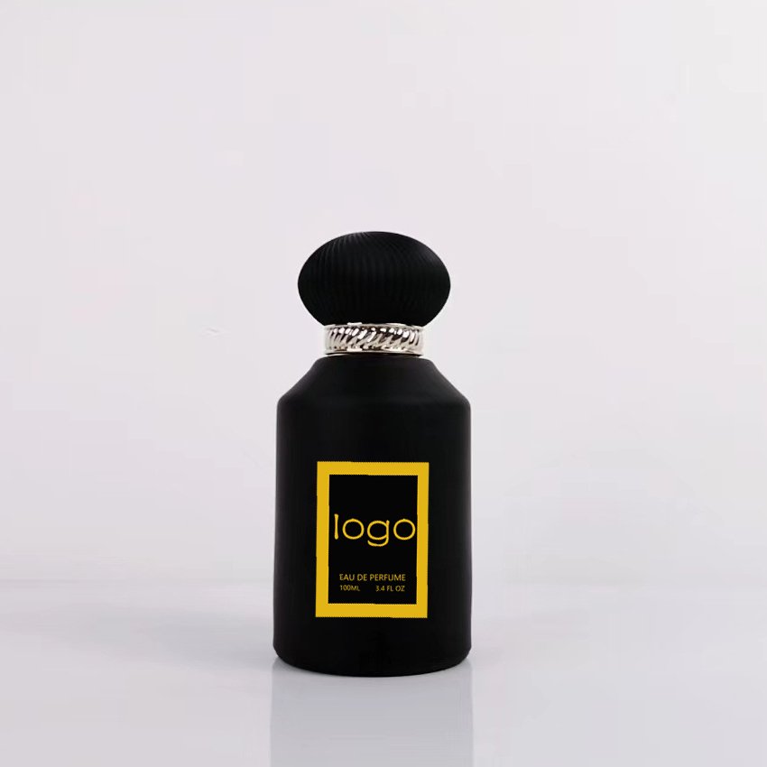 Luxury Men's 100ml Arabic Fragrance Oil Perfume Branded Dubai Oils Wholesale Luxury Men's Perfume