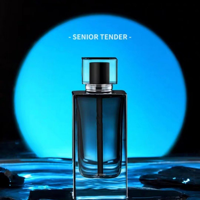 Quality Ocean Scent Wise Men 100ml Wood Body Perfumes For Men Perfume Long Time Lasting Smell
