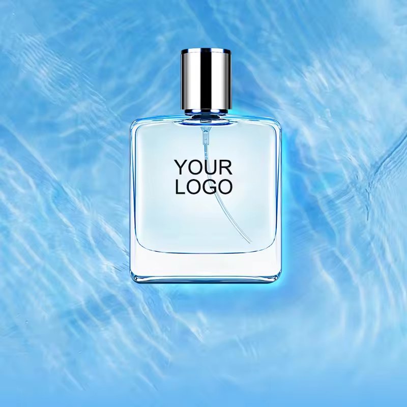 Customized Luxury Men's Cologne Original Fragrance 1:1 Perfume In Glass Bottle