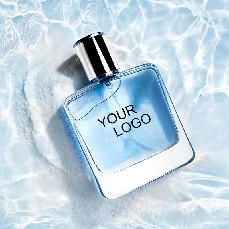 Customized Luxury Men's Cologne Original Fragrance 1:1 Perfume In Glass Bottle
