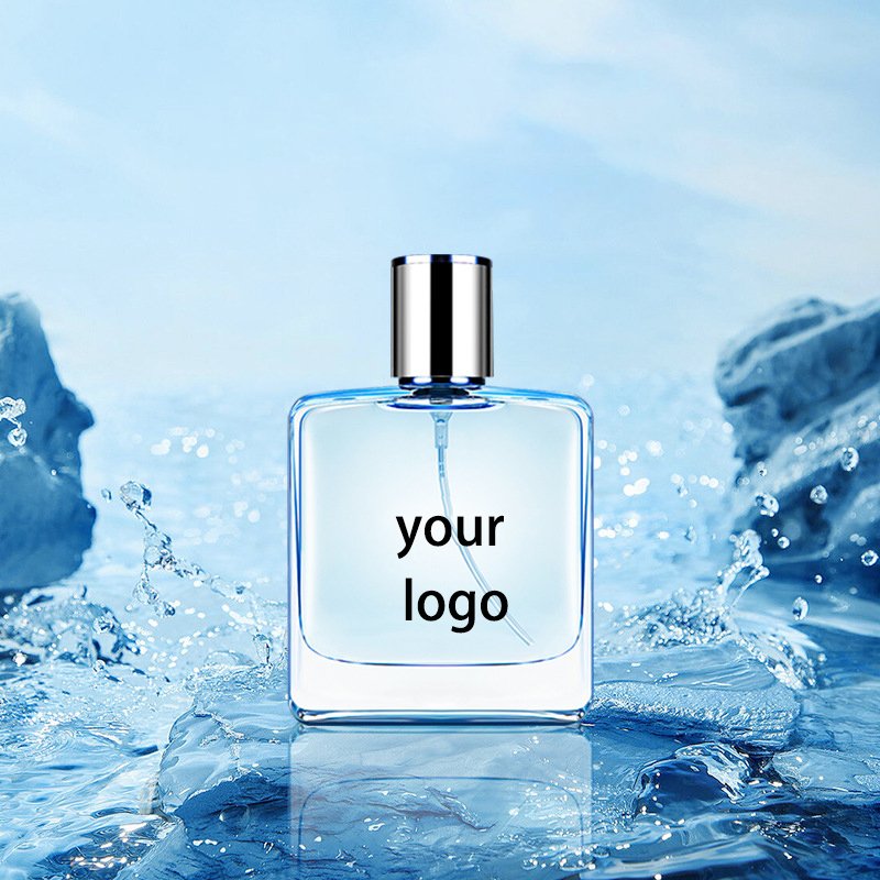 Customized Luxury Men's Cologne Original Fragrance 1:1 Perfume In Glass Bottle